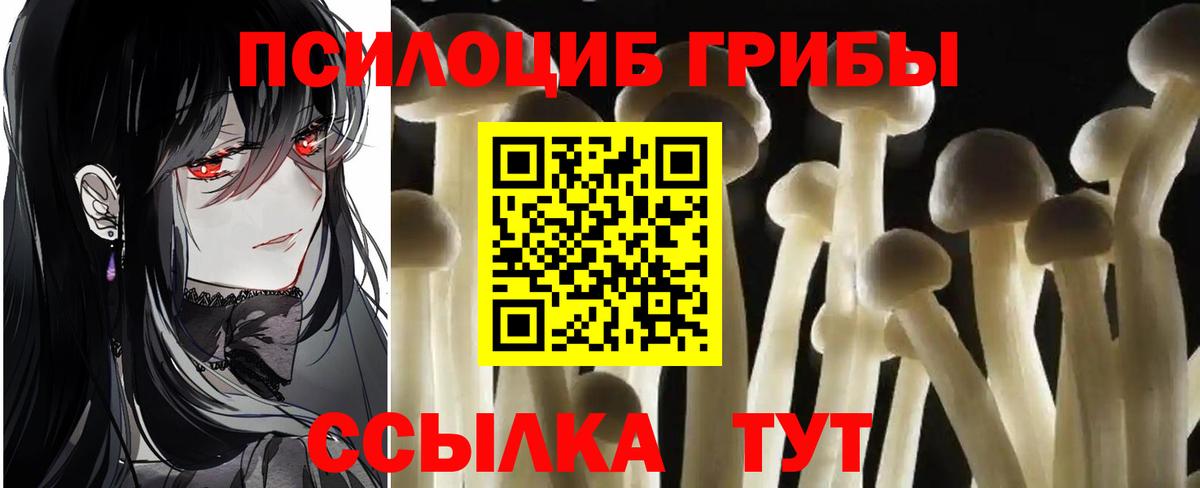 Галлюциногенные грибы GOLDEN TEACHER  Вход с VPN  где купить наркотик  Калининград 